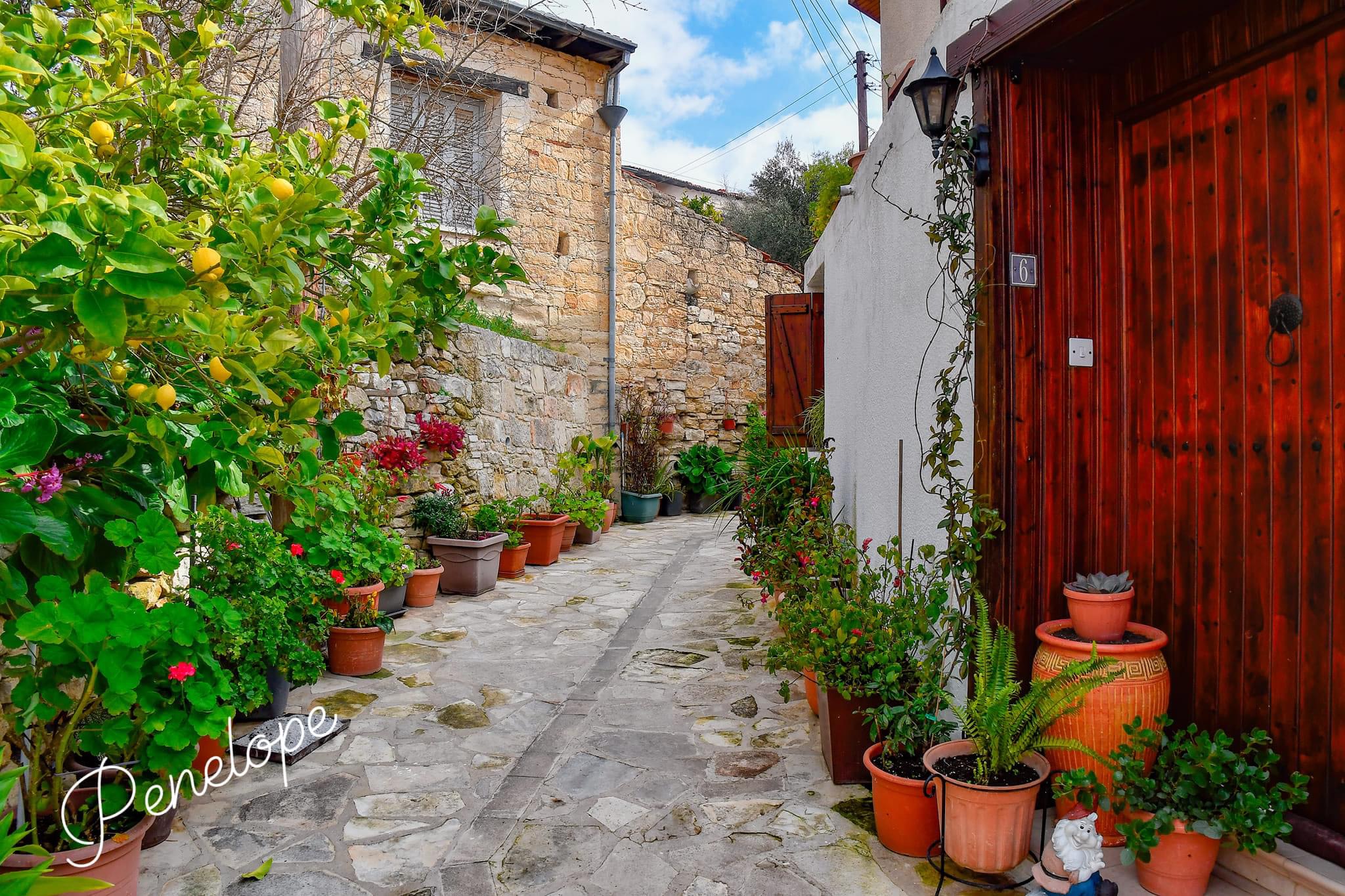 Gastronomical tour in Cyprus!