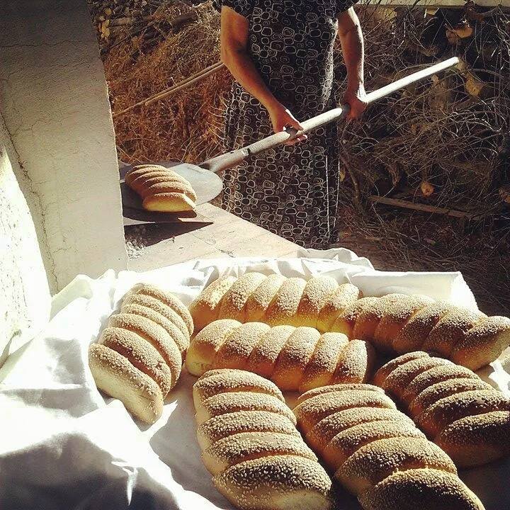 Gastronomical tour in Cyprus!