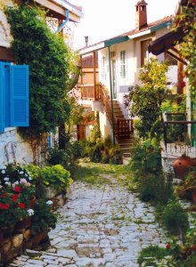 Commandaria Wine Tour - Gallery 3