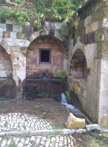 DELIGHTFUL BY NATURE CULINARY H/D TOUR - Gallery 2