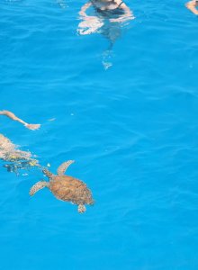 Family Boat Trip - Gallery 2